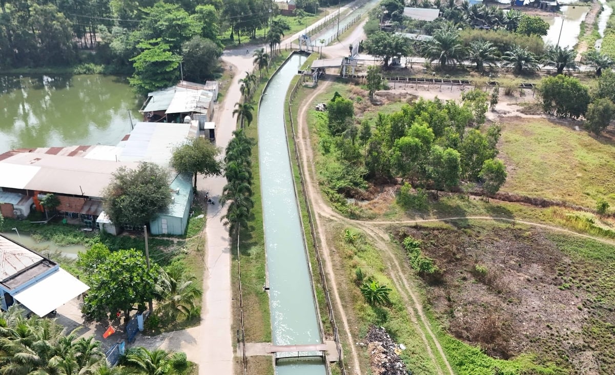 Hệ thống kênh Đông Củ Chi giúp tưới mát vùng đất khô cằn, việc sản xuất nông nghiệp được thuận lợi, dễ dàng chuyển đổi cơ cấu cây trồng. Ảnh: Lê Bình. Hệ thống kênh Đông Củ Chi giúp tưới mát vùng đất khô cằn, việc sản xuất nông nghiệp được thuận lợi, dễ dàng chuyển đổi cơ cấu cây trồng. Ảnh: Lê Bình.
