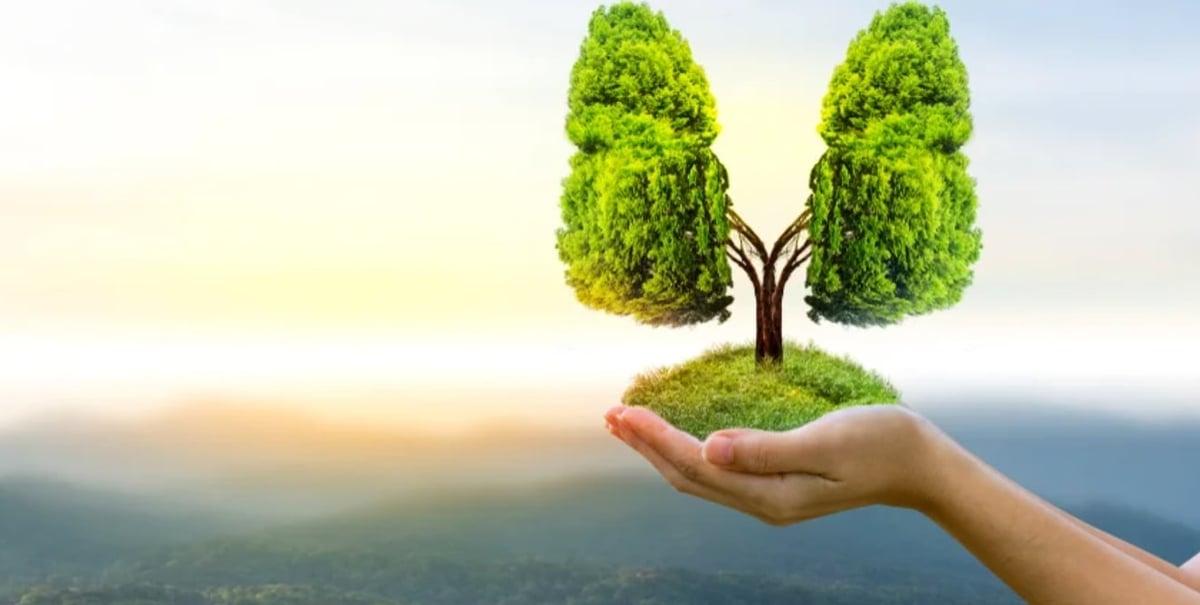 Ngày Quốc tế Không khí sạch vì bầu trời xanh được tổ chức vào ngày 7/9 hàng năm, nhấn mạnh nỗ lực tìm giải pháp cho ô nhiễm không khí. Ảnh: Sustainability News. Ngày Quốc tế Không khí sạch vì bầu trời xanh được tổ chức vào ngày 7/9 hàng năm, nhấn mạnh nỗ lực tìm giải pháp cho ô nhiễm không khí. Ảnh: Sustainability News.