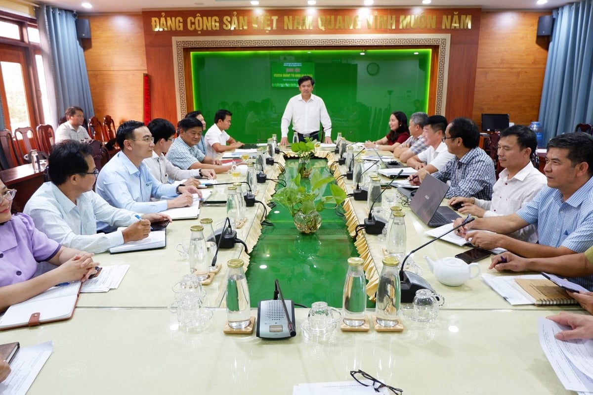 Toàn cảnh buổi hội nghị. Ảnh: Trần Thọ. Toàn cảnh buổi hội nghị. Ảnh: Trần Thọ.