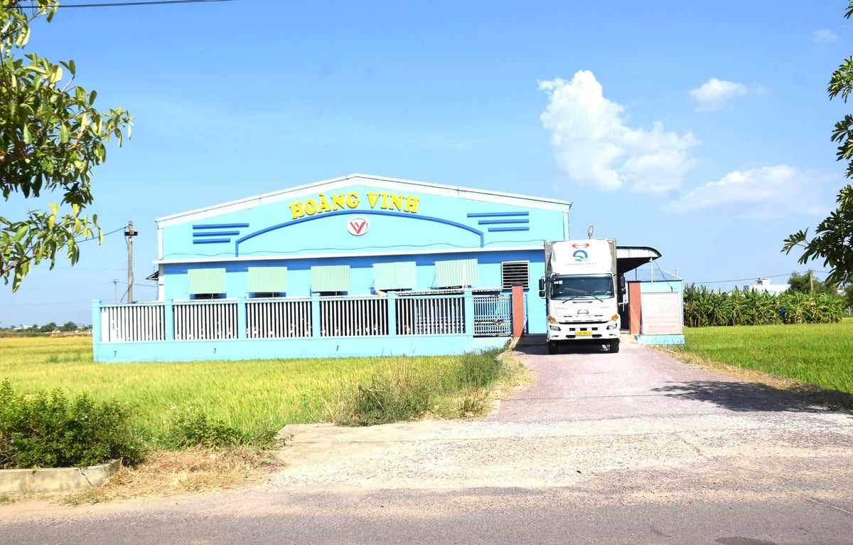 Cơ cở may Hoàng Vinh nằm trên địa bàn xã Tuy Phước Bắc. Ảnh:V.Đ.T. Cơ cở may Hoàng Vinh nằm trên địa bàn xã Tuy Phước Bắc. Ảnh:V.Đ.T.