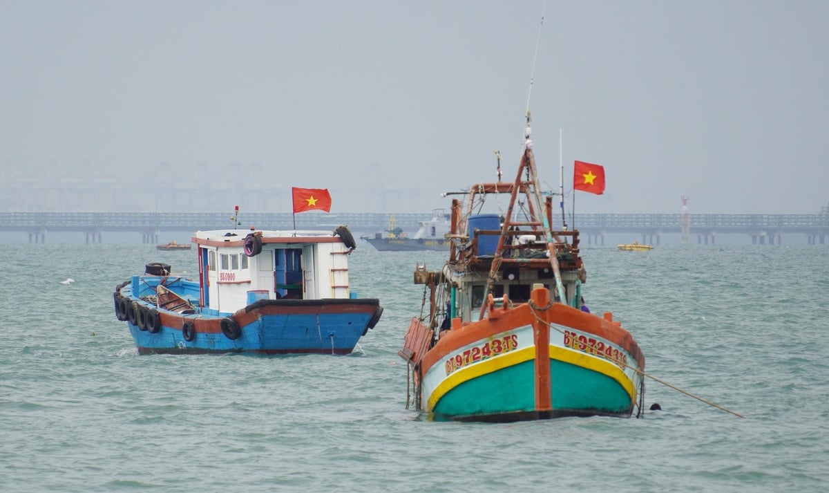 Việt Nam đang nỗ lực với nhiều biện pháp để sớm giải quyết các công việc còn tồn đọng theo khuyến nghị của EC để tháo gỡ thẻ vàng IUU. Ảnh: Lê Bình. Việt Nam đang nỗ lực với nhiều biện pháp để sớm giải quyết các công việc còn tồn đọng theo khuyến nghị của EC để tháo gỡ thẻ vàng IUU. Ảnh: Lê Bình.