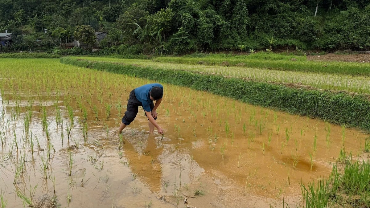 Người dân mong mỏi từng ngày việc khắc phục sớm được thực hiện để có đất canh tác. Ảnh: Sơn Lâm. Người dân mong mỏi từng ngày việc khắc phục sớm được thực hiện để có đất canh tác. Ảnh: Sơn Lâm.