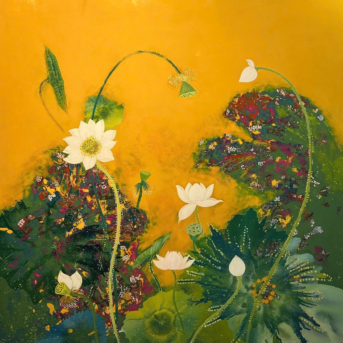 'Hương bạch liên'. Ảnh: TL.