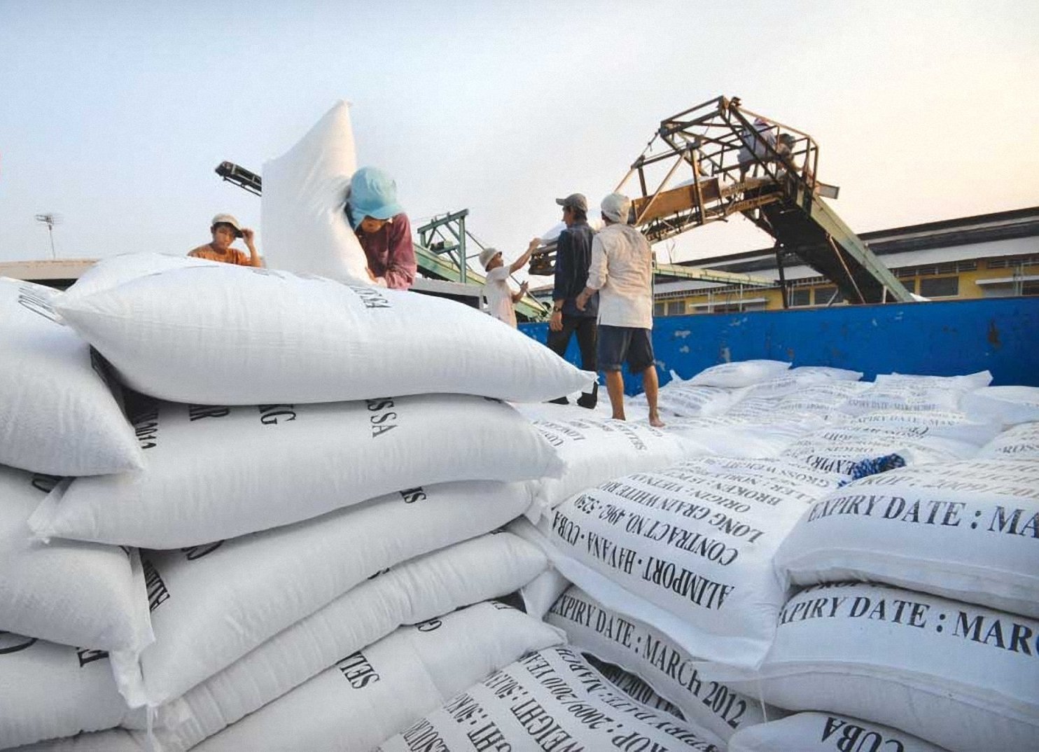 Ông Trần Sơn Hà đánh giá triển vọng xuất khẩu gạo của Việt Nam vẫn rất tích cực. Ảnh: Sơn Trang. Ông Trần Sơn Hà đánh giá triển vọng xuất khẩu gạo của Việt Nam vẫn rất tích cực. Ảnh: Sơn Trang.