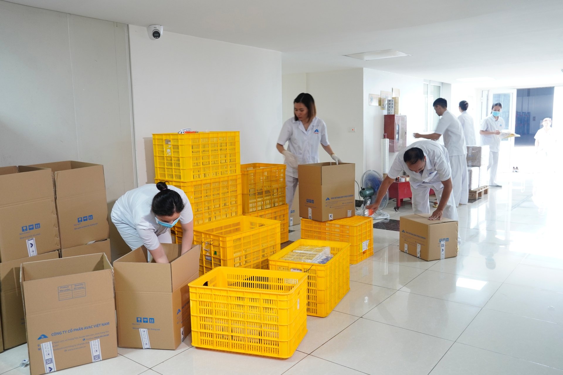 Công ty Cổ phần AVAC Việt Nam chuẩn bị lô hàng vaccine AVAC ASF LIVE để xuất khẩu sang Philippines. Ảnh: Hồng Thắm. Công ty Cổ phần AVAC Việt Nam chuẩn bị lô hàng vaccine AVAC ASF LIVE để xuất khẩu sang Philippines. Ảnh: Hồng Thắm.