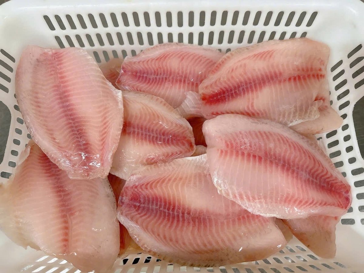 Thịt cá rô được thị trường trong và ngoài nước ưa chuộng. Ảnh: Minh Đảm.