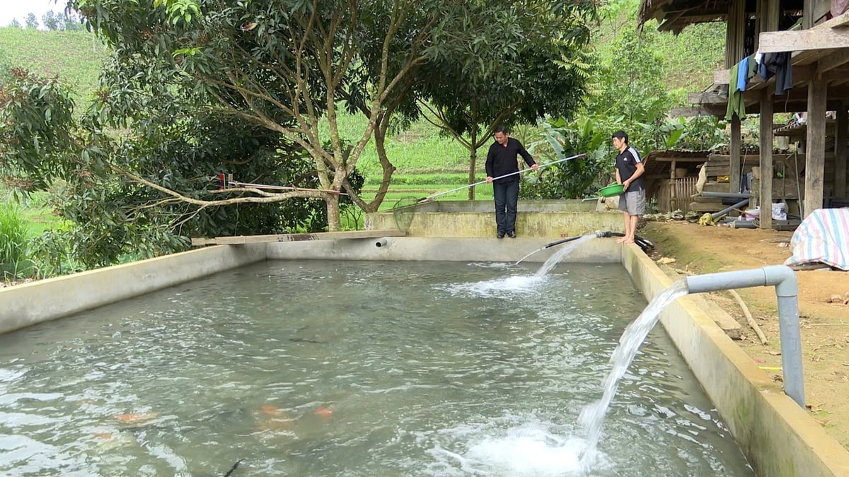Trên toàn quốc, hơn 10.500 mô hình và dự án giảm nghèo đã được triển khai, trong đó phần lớn thuộc lĩnh vực nông nghiệp. Ảnh: Tiến Trung.