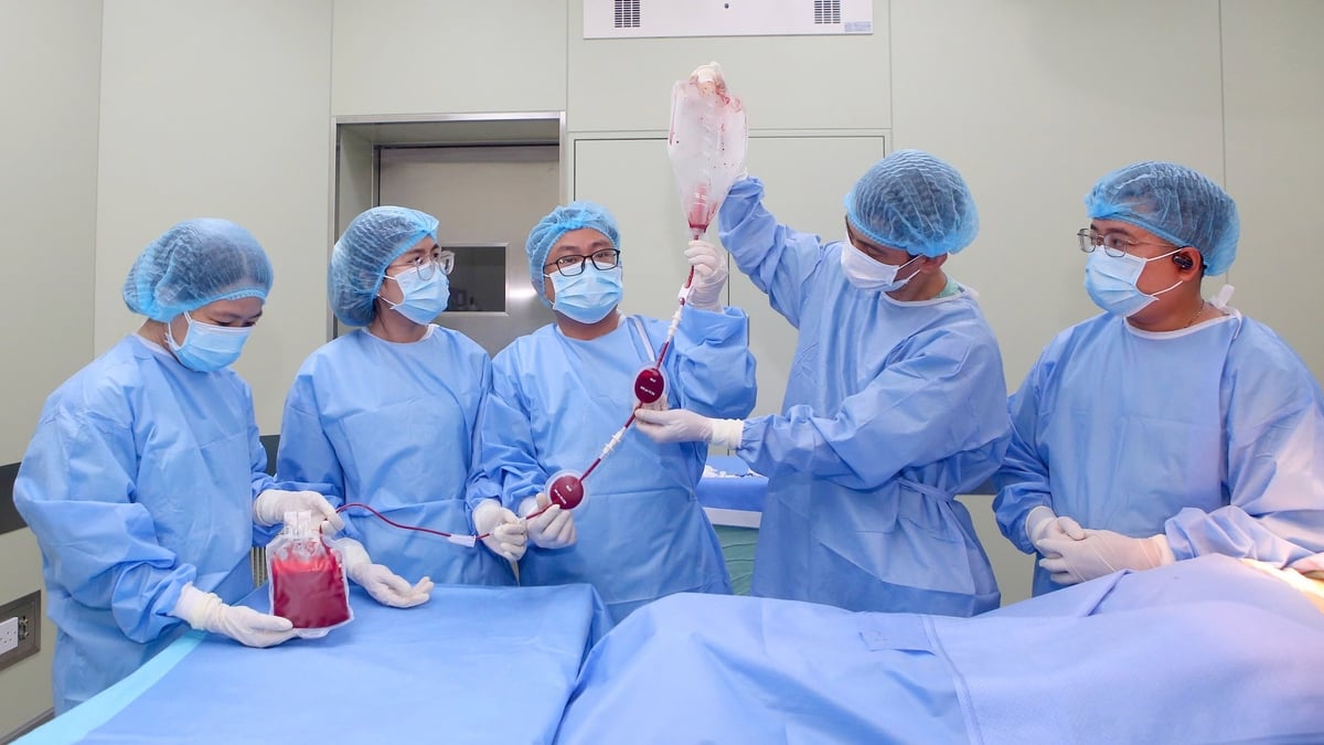 Các y bác sĩ ở Bệnh viện Trung ương Huế thực hiện ca ghép tủy Thalassemia đặc biệt. Ảnh: Bệnh viện Trung ương Huế. Các y bác sĩ ở Bệnh viện Trung ương Huế thực hiện ca ghép tủy Thalassemia đặc biệt. Ảnh: Bệnh viện Trung ương Huế.