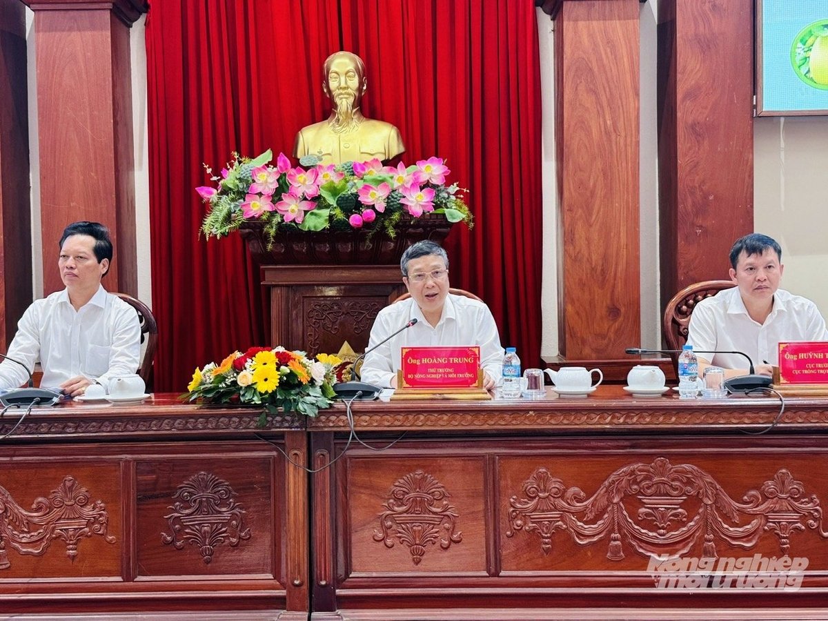 Thứ trưởng Bộ Nông nghiệp và Môi trường Hoàng Trung chủ trì hội nghị. Ảnh: Lê Hoàng Vũ.