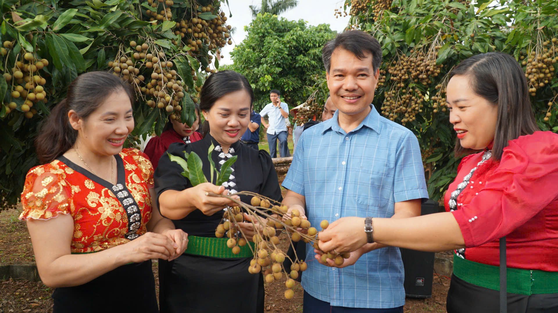 Lễ mở vườn và kết nối cung cầu sản phẩm không chỉ là khởi đầu cho vụ mùa mới, mà còn là cơ hội để kết nối, trao đổi, hình thành chuỗi giá trị bền vững từ sản xuất đến tiêu thụ, đưa Nhãn Ánh vàng 205 trở thành một trong những sản phẩm chủ lực của nông sản Sơn La. Lễ mở vườn và kết nối cung cầu sản phẩm không chỉ là khởi đầu cho vụ mùa mới, mà còn là cơ hội để kết nối, trao đổi, hình thành chuỗi giá trị bền vững từ sản xuất đến tiêu thụ, đưa Nhãn Ánh vàng 205 trở thành một trong những sản phẩm chủ lực của nông sản Sơn La.