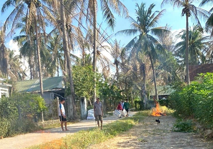 Nông dân tích cực phòng trừ sâu đầu đen hại dừa. Ảnh: V.Đ.T. Nông dân tích cực phòng trừ sâu đầu đen hại dừa. Ảnh: V.Đ.T.