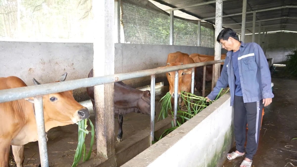 Người dân áp dụng những kiến thức thông tin đưa vào sản xuất, phát triển kinh tế và vươn lên thoát nghèo. Ảnh: Lê Khánh.