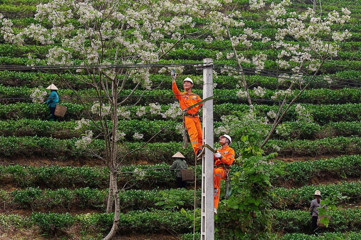 Công nhân điện lực khắc phục lưới điện. Ảnh: EVNNPC.