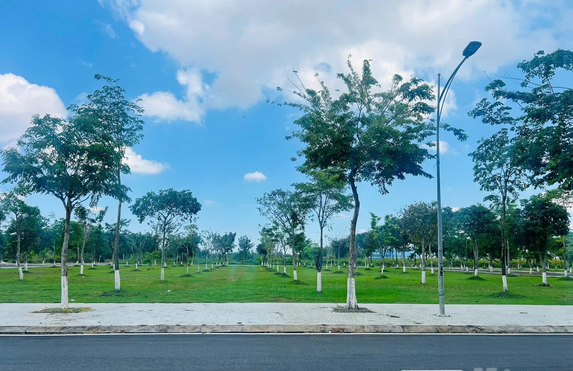Dự án trồng, chăm sóc cây xanh trên địa bàn huyện Vĩnh Lợi, tỉnh Bạc Liêu (cũ). Ảnh: Trọng Linh.