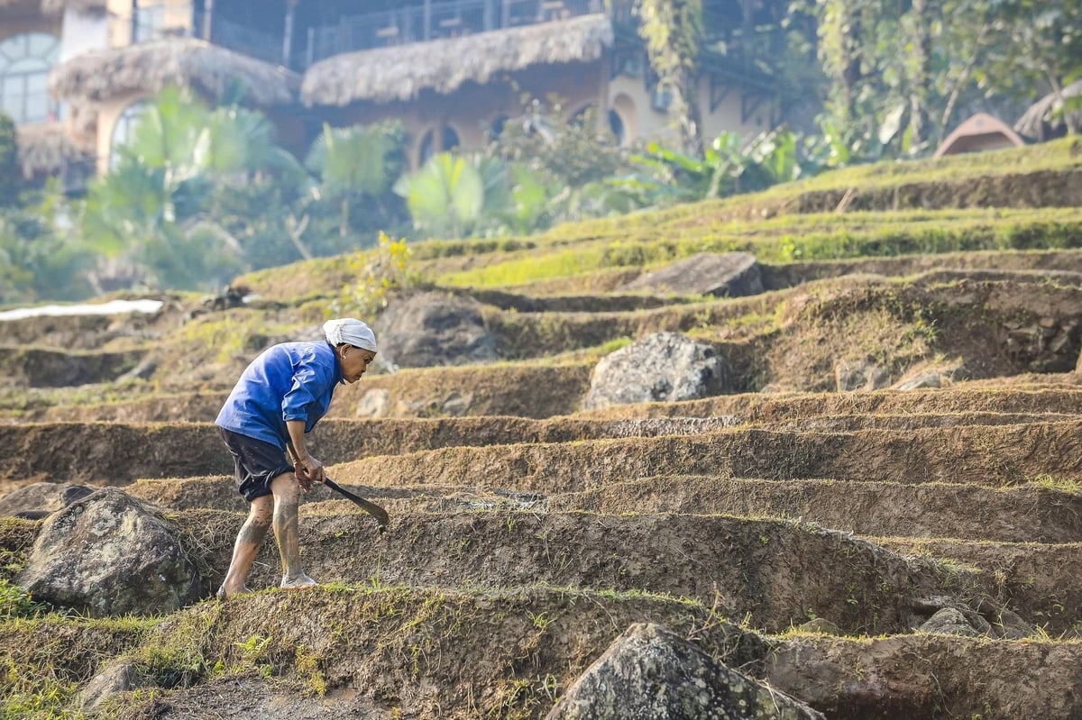 Ruộng bậc thang ở Pù Luông được hình thành bởi quá trình lao động tích lũy qua nhiều thế hệ.