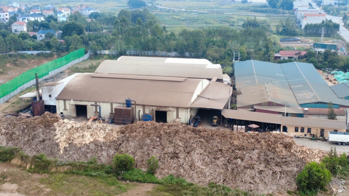 Công ty CP Năng lượng tái tạo số 1 Việt Nam gây ô nhiễm môi trường nghiêm trọng tại thôn Dậu, xã Tiên Lục. Ảnh: Dũng Thiệu.