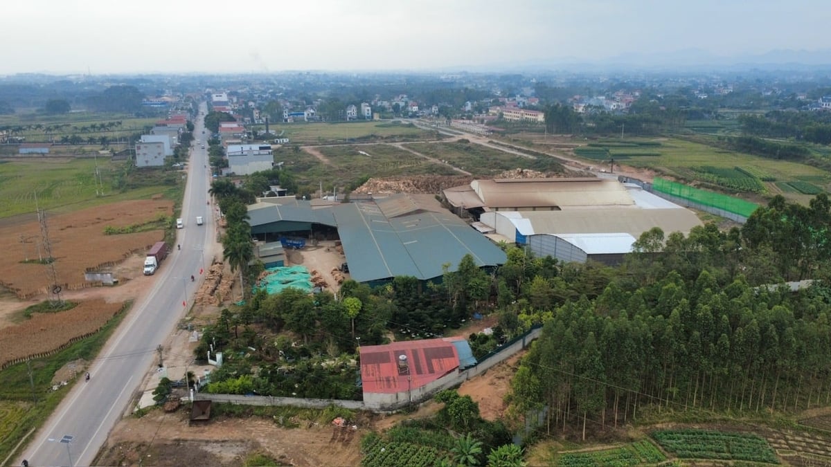 Nhiều người dân bức xúc về tình trạng bụi, khói, tiếng ồn trong quá trình sản xuất than viên nén nhưng chưa được chính quyền địa phương xử lý dứt điểm. Ảnh: Dũng Thiệu.