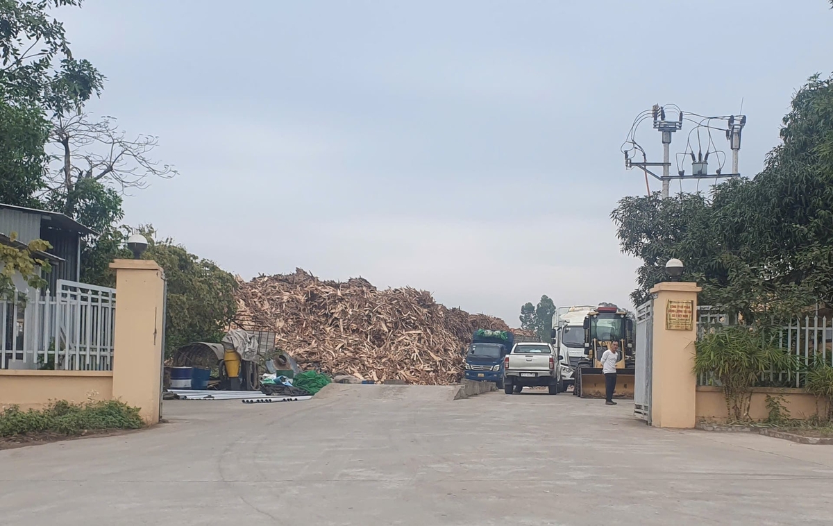 UBND tỉnh Bắc Ninh cần sớm vào cuộc xử lý dứt điểm vụ việc, trả lại môi trường sống trong lành cho người dân. Ảnh: Dũng Thiệu.