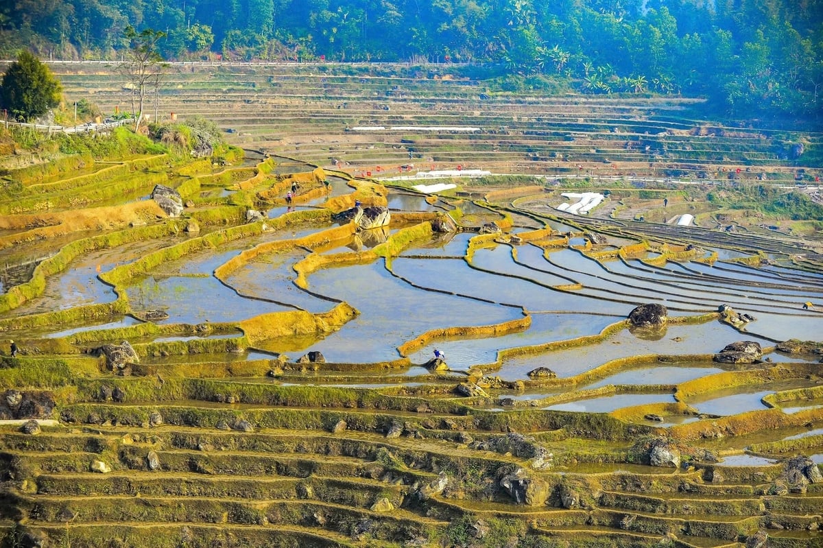 Từ trên cao nhìn xuống, ruộng bậc thang Pù Luông hiện lên như một tác phẩm được sắp đặt, nơi hình khối, đường cong và ánh sáng đạt đến sự cân bằng tinh tế.