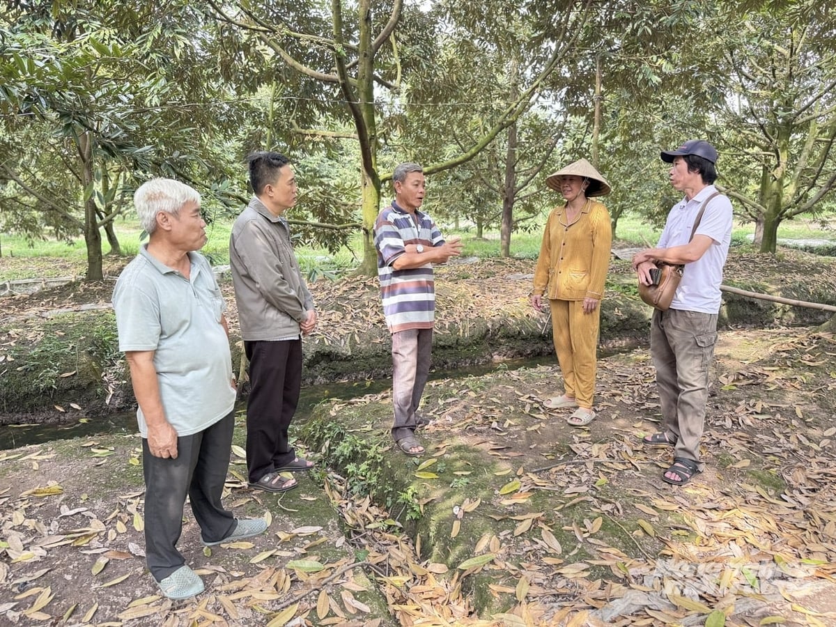 Đoàn công tác trao đổi trực tiếp với nông dân tại vườn, ghi nhận hiệu quả mô hình sản xuất bền vững gắn với thực tiễn địa phương. Ảnh: Lê Hoàng Vũ.