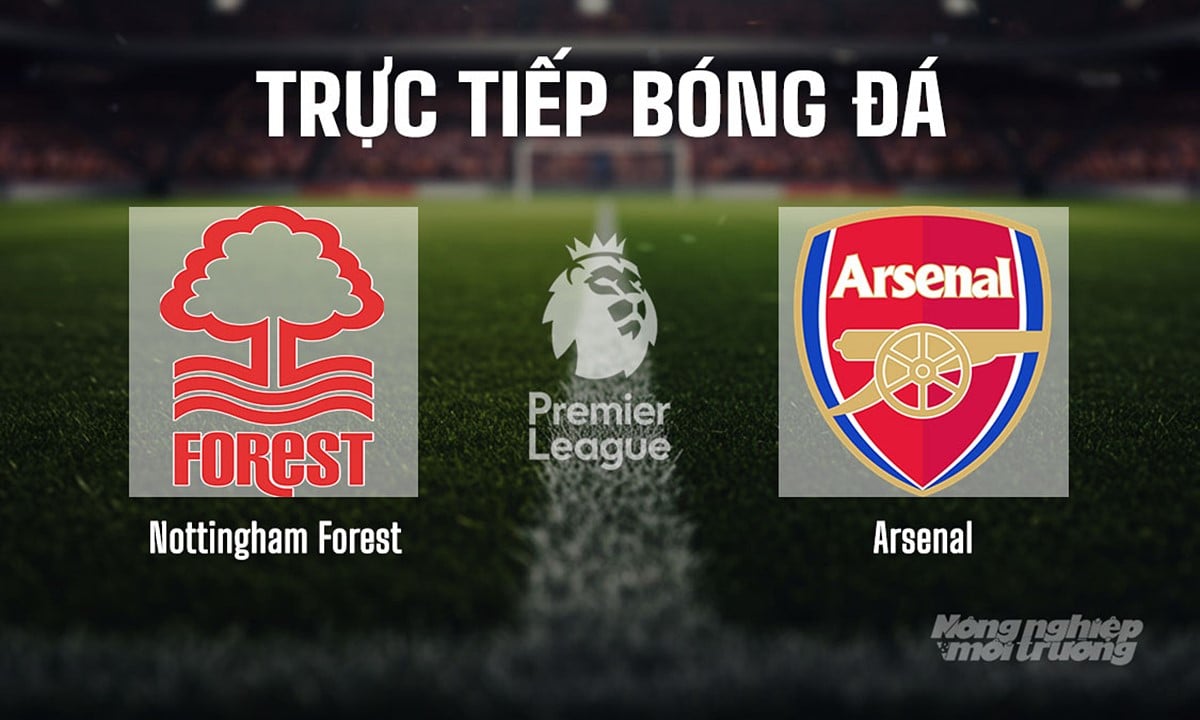 Thứ Hạng Của Nottingham Forest Mới Nhất Tại EPL