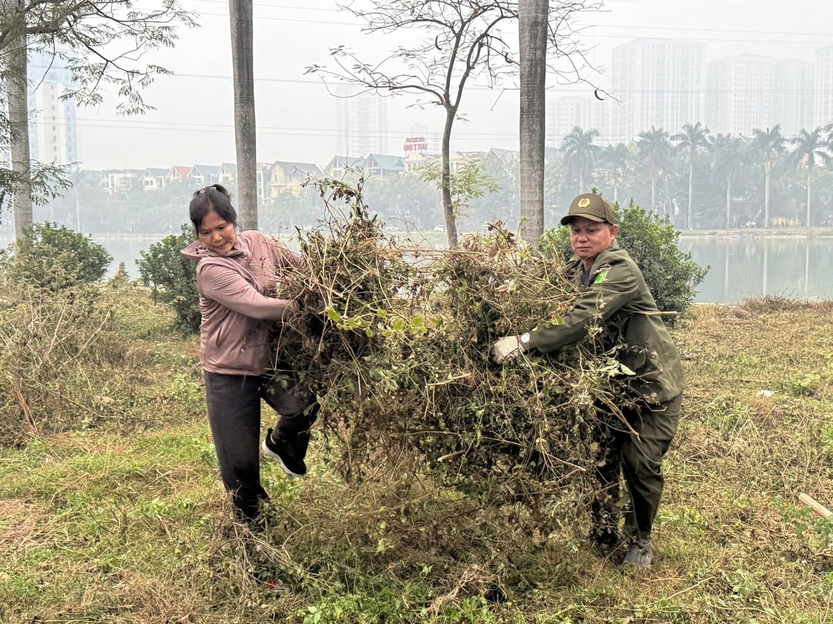 Các lực lượng đã tập trung thu gom rác thải, phát quang cây cỏ. Ảnh: Lan Chi.