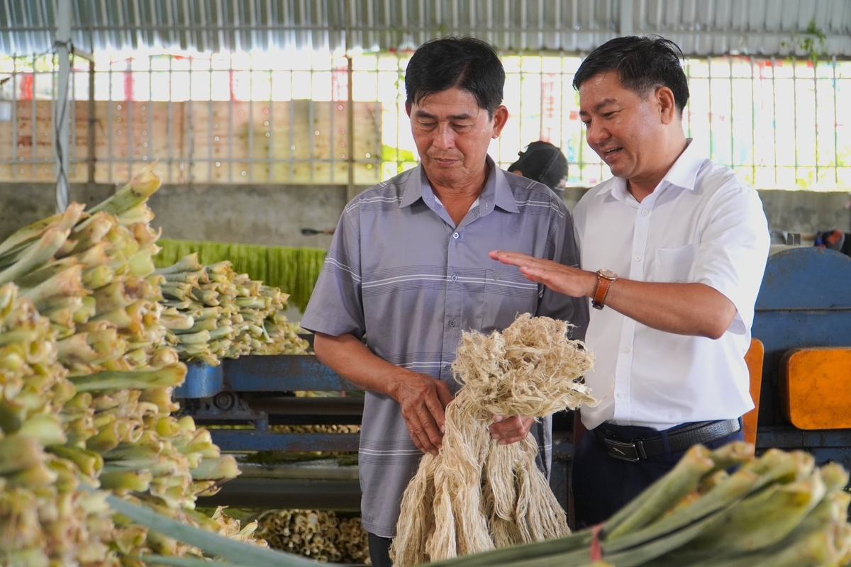 Bí thư Đảng ủy xã Hỏa Lựu Nguyễn Thanh Phong (phải) thăm HTX Cần Thơ Farm chuyên sản xuất sợi từ lá khóm. Ảnh: Kim Anh.