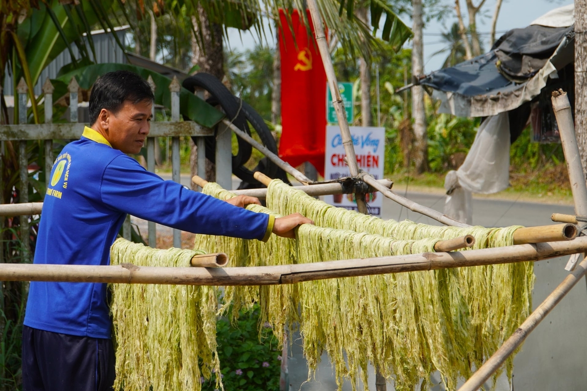 Sợi khóm được phơi khô sau khi ép. Ảnh: Kim Anh.