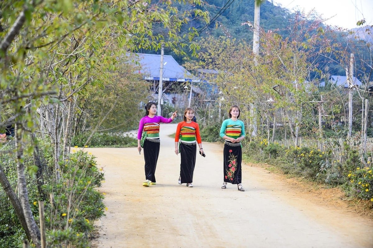 Cao Sơn vào mùa đẹp nhất trong năm, những người phụ nữ Thái rảo bước thăm quan đào nở. Ảnh: Thanh Tâm.