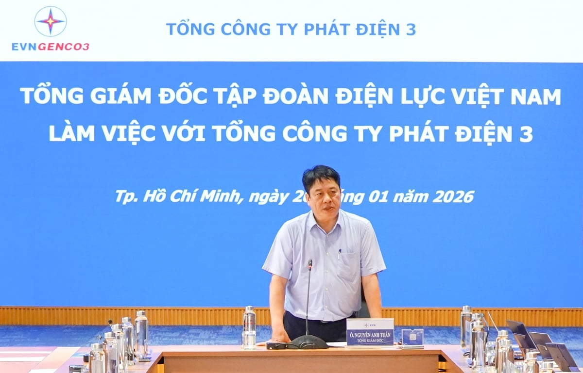 Ông Nguyễn Anh Tuấn - Tổng Giám đốc EVN phát biểu chỉ đạo. Ảnh: EVNGENCO3.