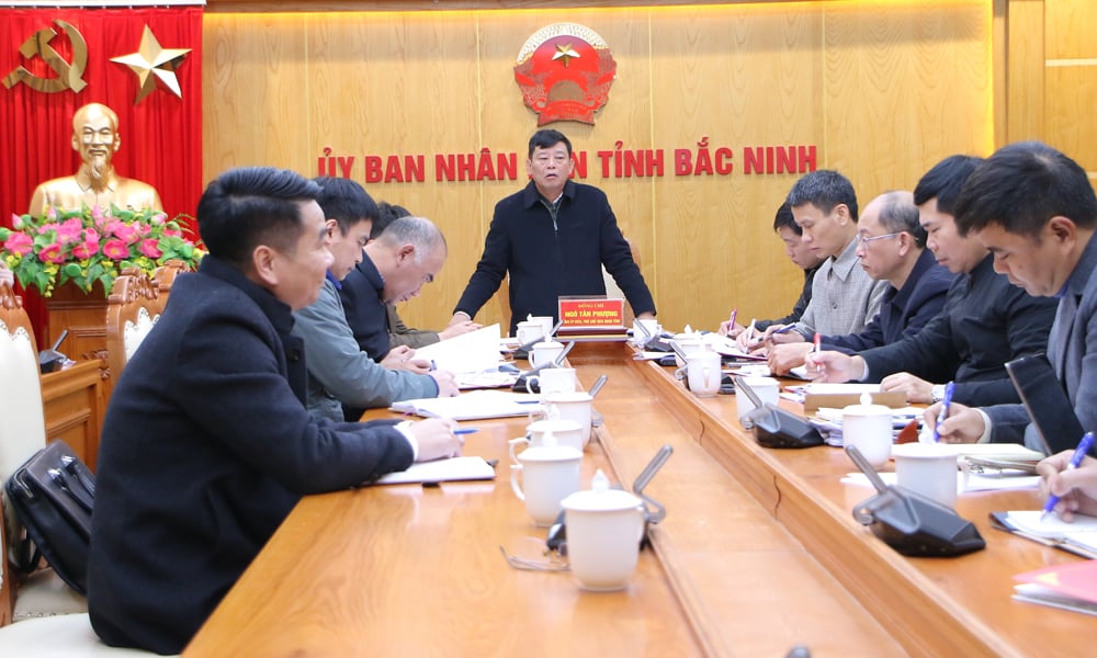 Phó Chủ tịch UBND tỉnh Bắc Ninh Ngô Tân Phượng chủ trì hội nghị. Ảnh: Minh Linh.