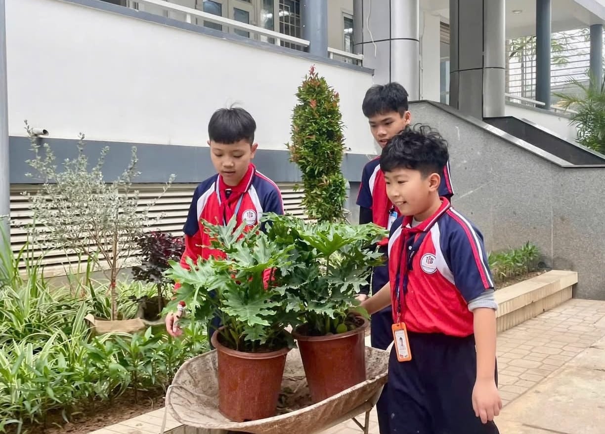 Với nhiều học sinh trường THCS Trương Công Giai, sống xanh không còn là khẩu hiệu và đã trở thành một phần của sinh hoạt hằng ngày. Ảnh: Trường THCS Trương Công Giai.