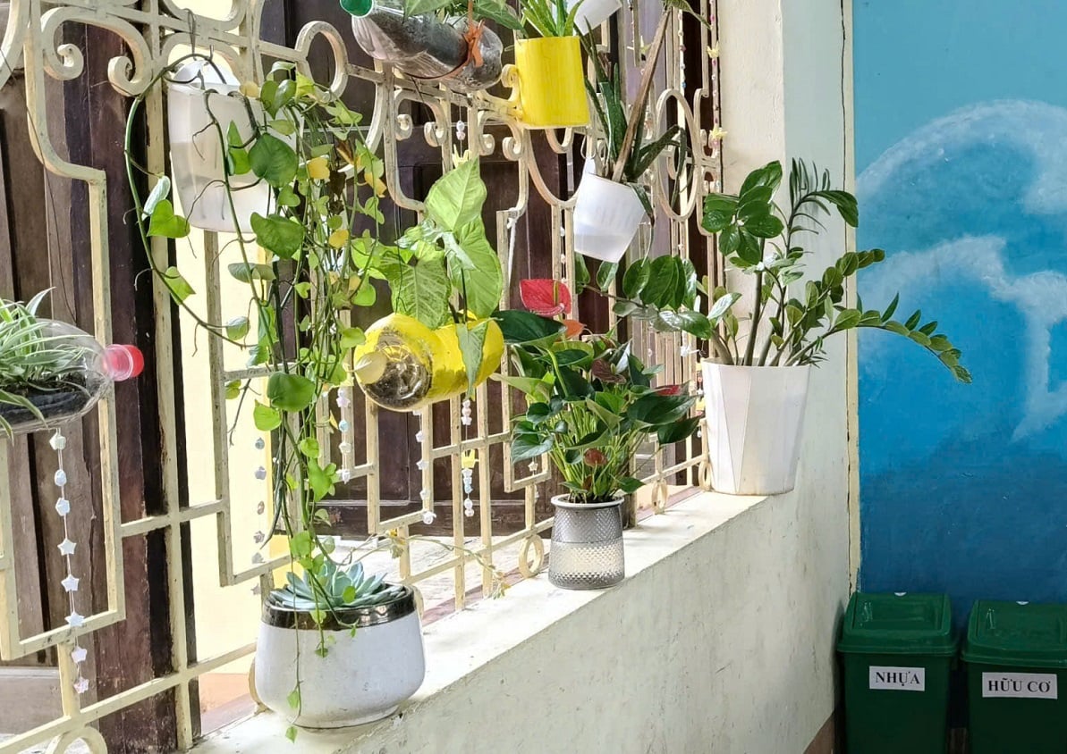 Không gian 'cửa sổ xanh' được tạo nên từ vật liệu tái chế, góp phần xây dựng môi trường học tập xanh, thân thiện. Ảnh: Hoàng Nghĩa.