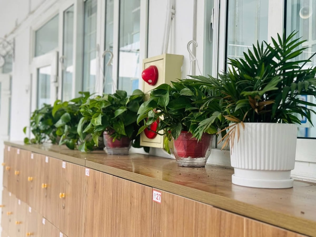 Nhiều không gian xanh được bố trí khắp khuôn viên trường để học sinh được 'nhìn thấy', được truyền cảm hứng sống xanh, bảo vệ môi trường. Ảnh: Mạnh Hiển.