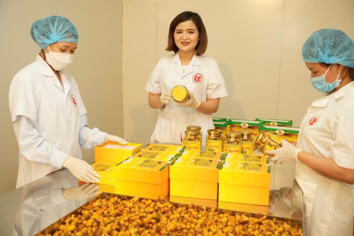Vùng nguyên liệu chưa đủ lớn khiến một số hợp tác xã chưa ký được những đơn hàng 'khủng'. Ảnh: Quang Linh.