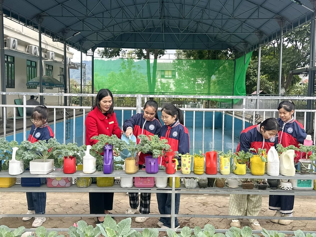 Nhiều sản phẩm nhựa sau khi đã dùng xong được học sinh Trường Tiểu học Bắc Cường 1 tái chế dùng để trồng rau xanh. Ảnh: Bích Hợp.