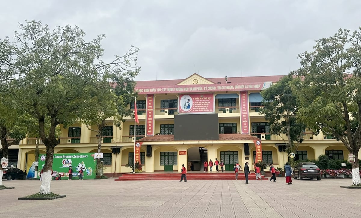 Trường Tiểu học Bắc Cường 1 xanh - sạch - đẹp. Ảnh: Bích Hợp.