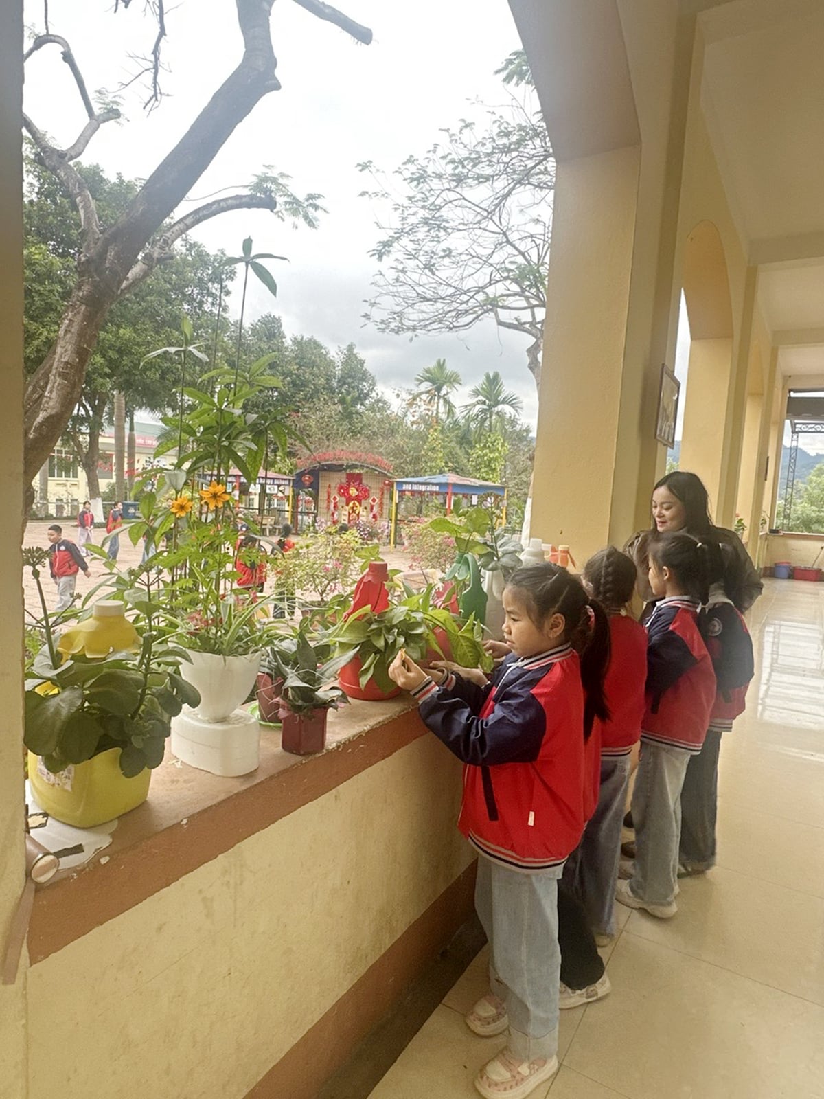 Trước lớp học tại Trường Tiểu học Bắc Cường 1 có rất nhiều cây xanh được trồng bằng sản phẩm nhựa tái chế. Ảnh: Bích Hợp.
