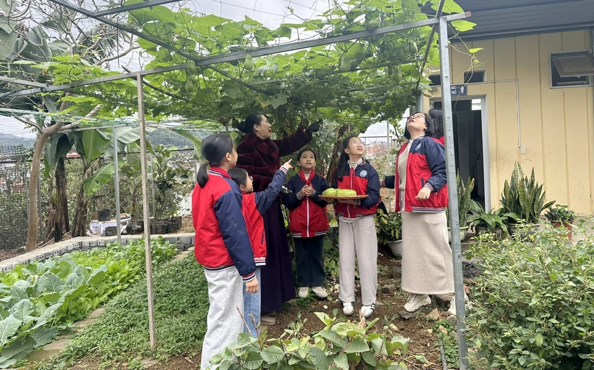 Cô, trò Trường Tiểu học Bắc Cường 1 thu hoạch trái ngọt trong khu vườn sinh thái của mình. Ảnh: Bích Hợp.