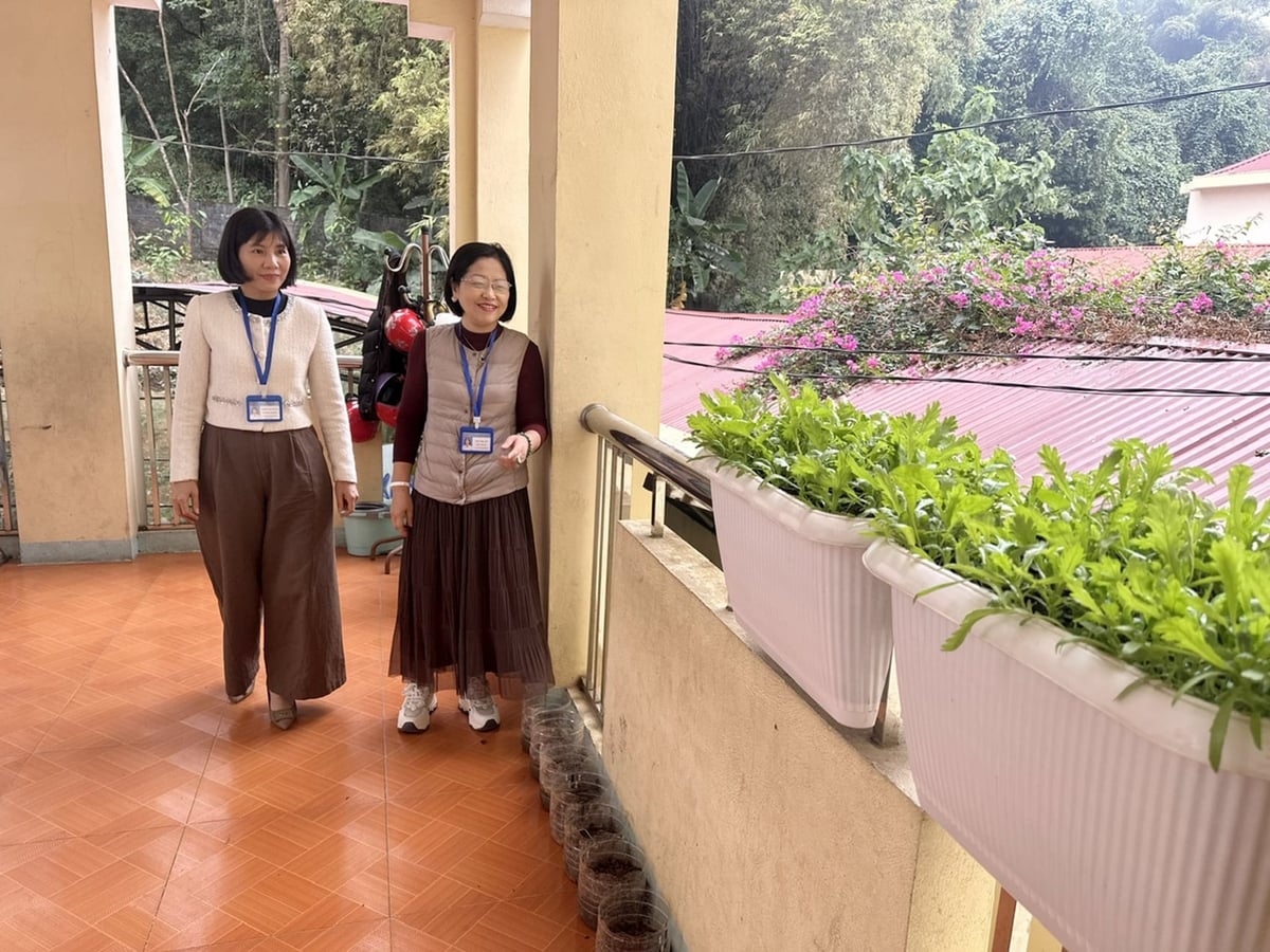 Không gian xanh tại hành lang Trường Tiểu học Bắc Lệnh. Ảnh: Bích Hợp.