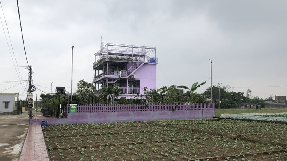 Các thửa đất xung quanh hộ bà Thúy vẫn là đất trống, dùng để trồng cây nông nghiệp. Ảnh: Phạm Thiệu.