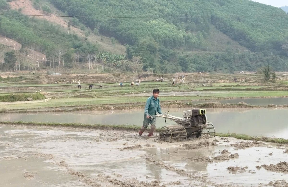 Người dân vùng cao Nghệ An đang tập trung làm đất để chuẩn bị gieo cấy vụ mới. Ảnh: Đình Tiệp.