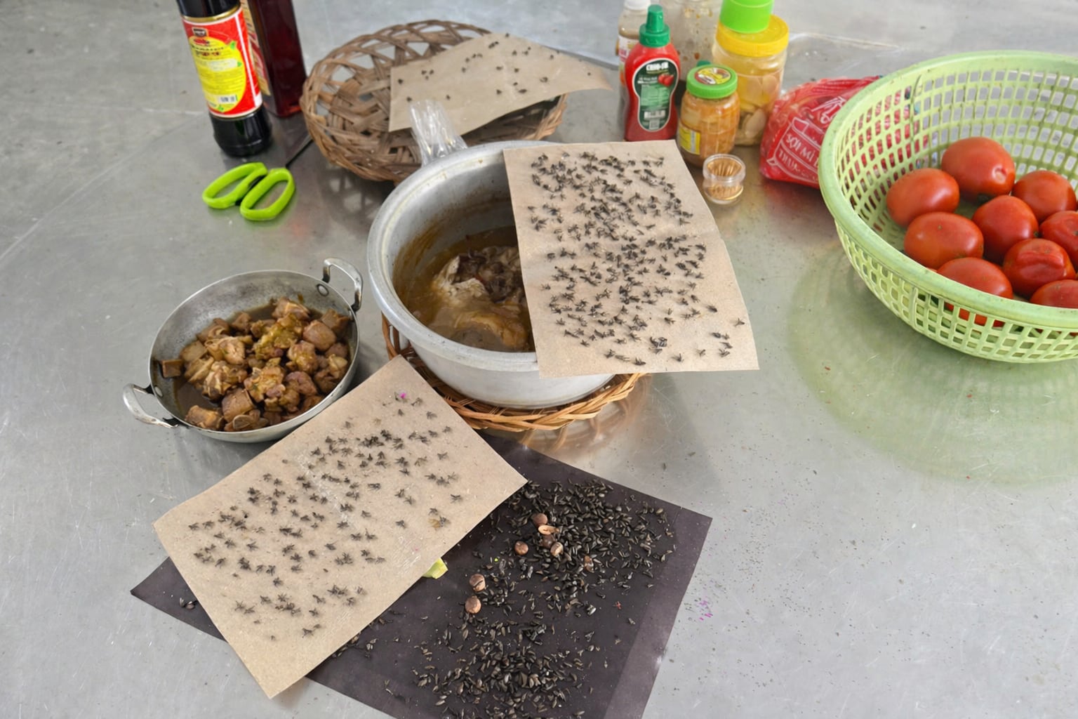 Ruồi xuất hiện dày đặc, bu kín đồ ăn của người dân. Ảnh: Hồ Thảo.