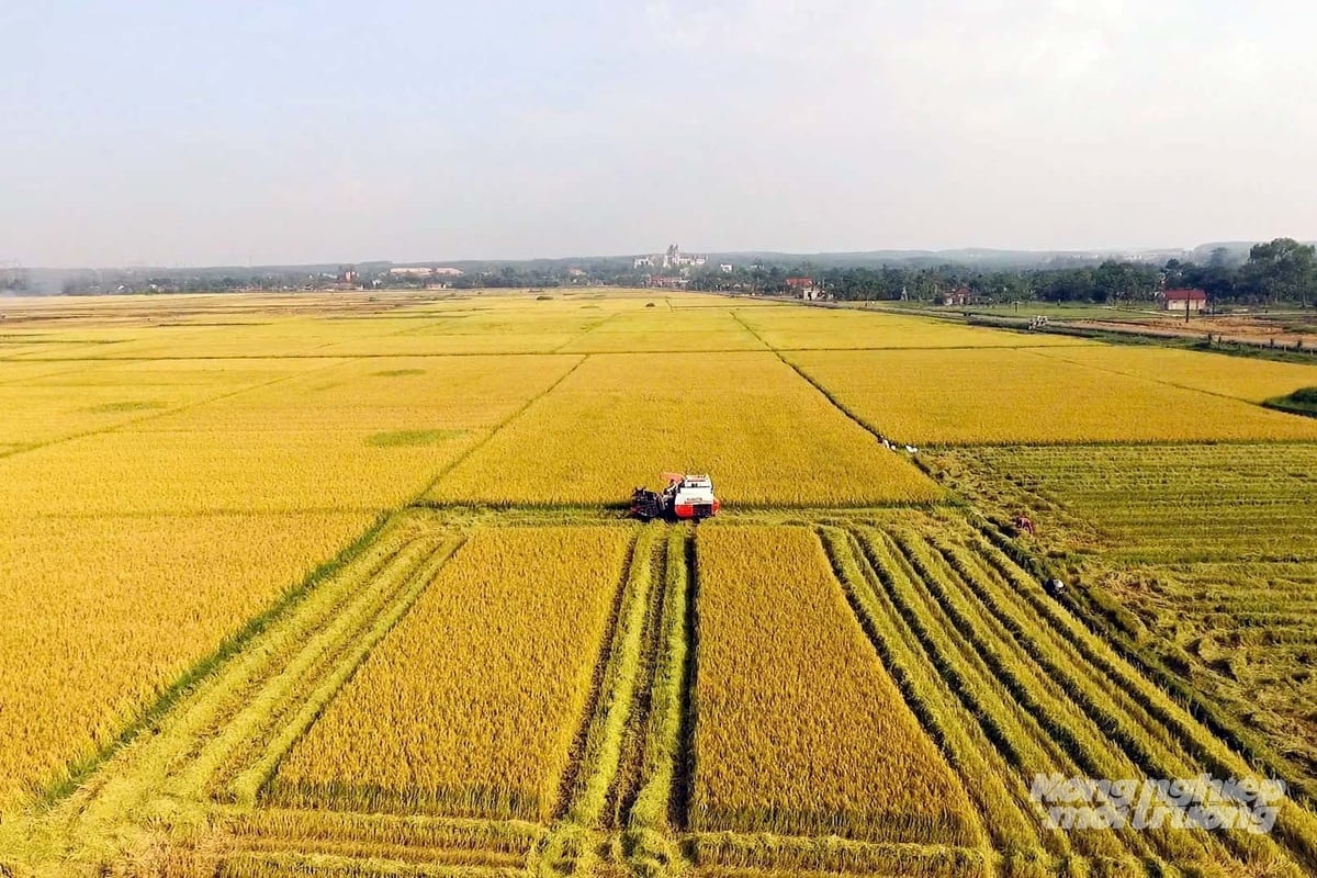 Sau sáp nhập, bức tranh kinh tế tỉnh Quảng Trị có nhiều gam màu sáng, tổng thu ngân sách trên địa bàn vượt gần 35% so với dự toán Trung ương giao. Ảnh: Võ Dũng.