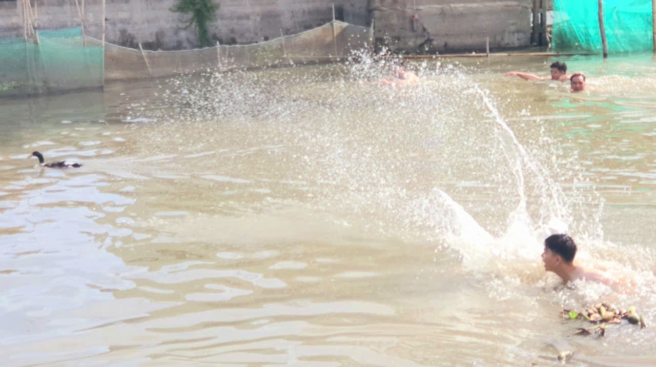 Những chú vịt được thả xuống dòng nước, các đội thi hào hứng lao mình vồ bắt trong tiếng reo hò, cổ vũ. Ảnh: Ngọc Hân.