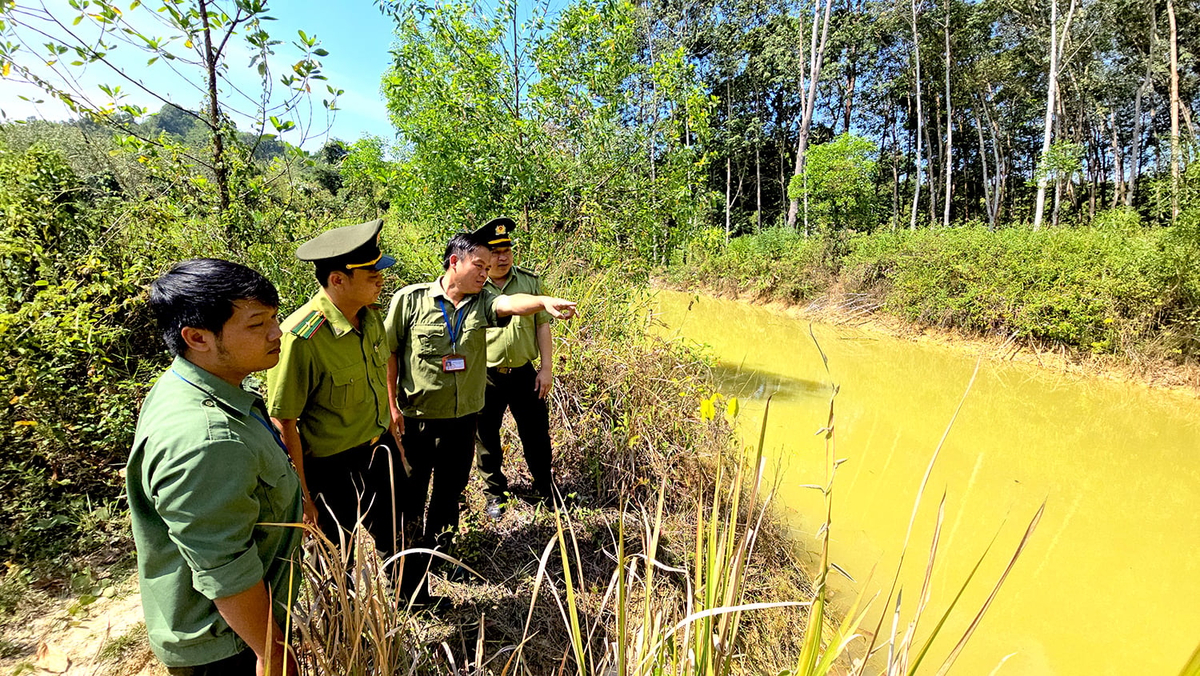 Tinh thần trách nhiệm của lực lượng kiểm lâm và bảo vệ rừng được duy trì rất nghiêm túc, khiến các vụ vi phạm được phát hiện, xử lý kịp thời, không để hình thành 'điểm nóng'. Ảnh: Minh Sáng.