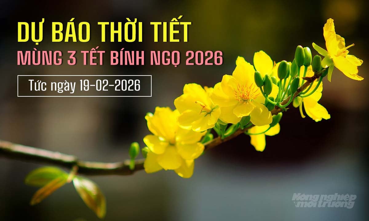 Tin tức thời tiết hôm nay 19/2/2026 trong cả nước