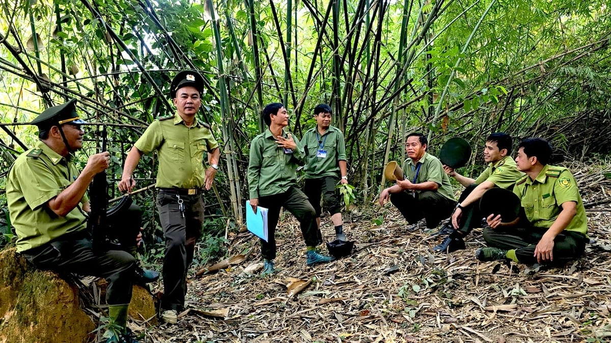 Trong những ngày Tết, lực lượng kiểm lâm vẫn lặng thầm bám Trạm, giữ bình yên cho rừng. Ảnh: Nguyễn Thủy.