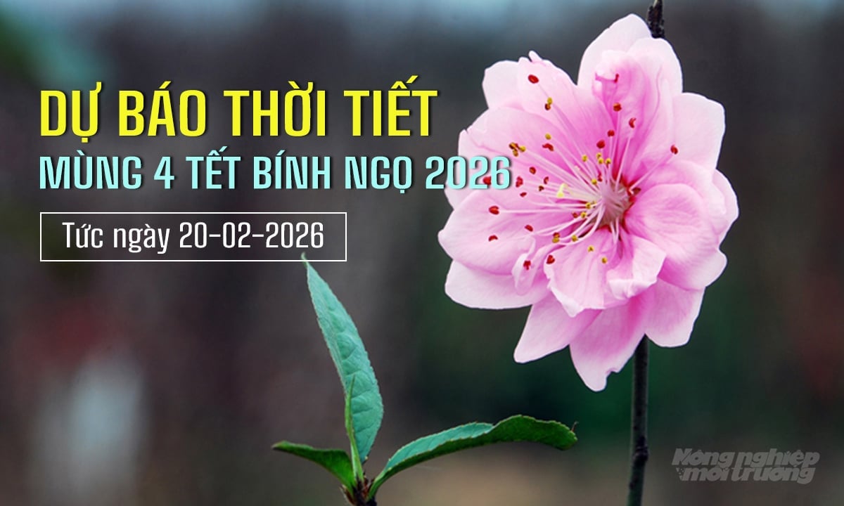 Tin tức thời tiết hôm nay 20/2/2026 trong cả nước