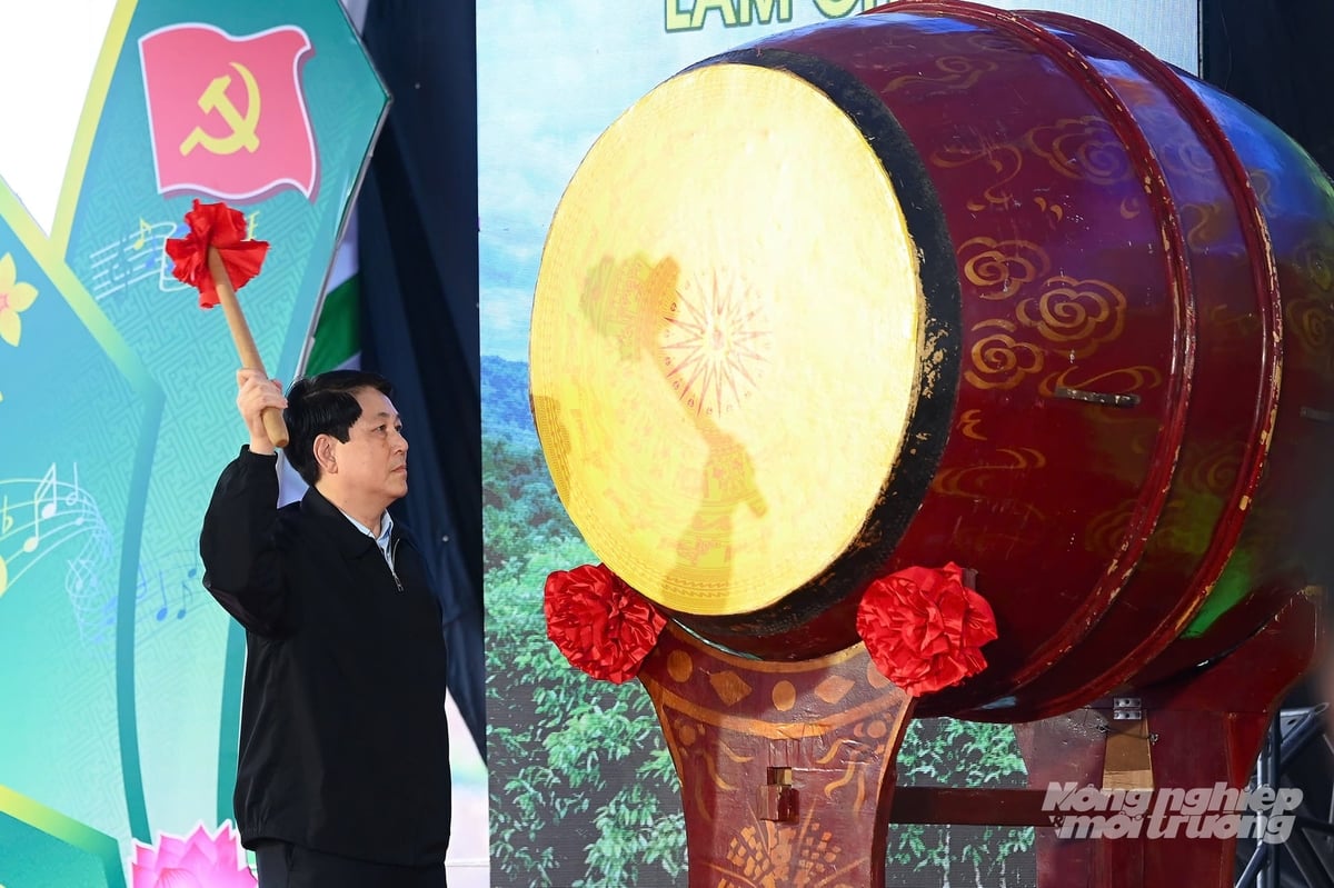 Chủ tịch nước đánh trống phát động Tết trồng cây Xuân Bính Ngọ 2026 tại Lào Cai, kêu gọi toàn dân chung tay phát triển rừng, bảo vệ môi trường. Ảnh: Tùng Đinh.